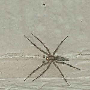 Meet your Posher, Jeremy